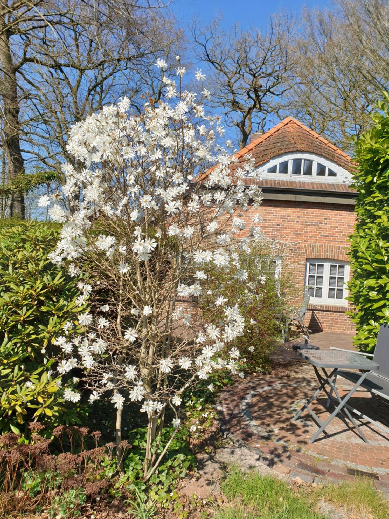 Ferienwohnung Morgensonne Westerstede Exterior photo